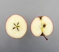 Esopus Spitzenberg æble